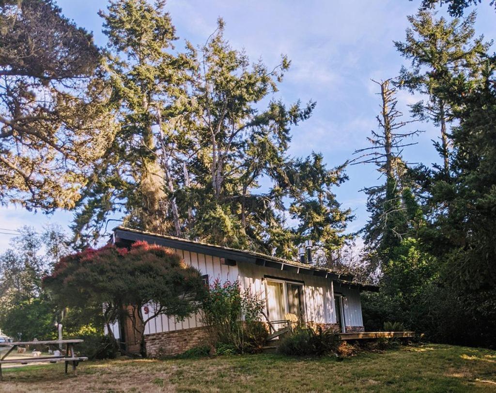 The Andiron Seaside Inn & Cabins Little River 外观 照片